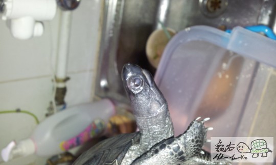 2011-11-13 08.55.03.jpg