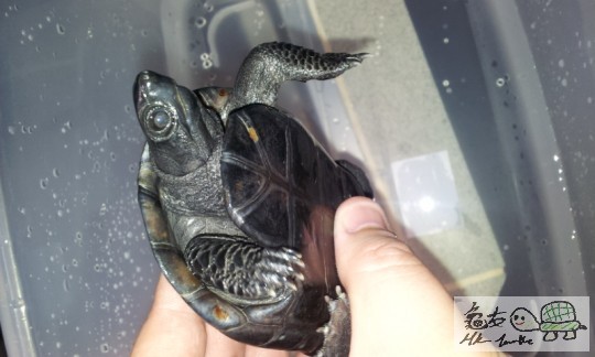 2011-11-13 08.55.49.jpg