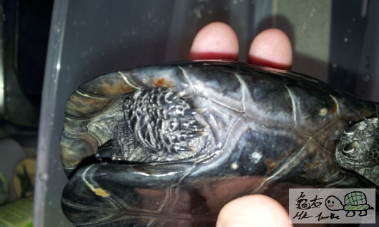 2011-11-13 08.53.03.jpg