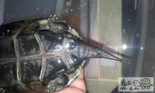 2011-11-13 08.55.15.jpg