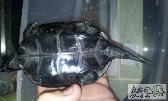 2011-11-13 08.55.20.jpg