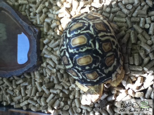 在小小陽光底下露背0.0