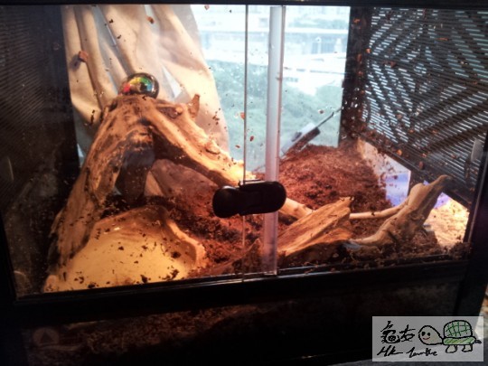 2011-12-06 16.31.31.jpg