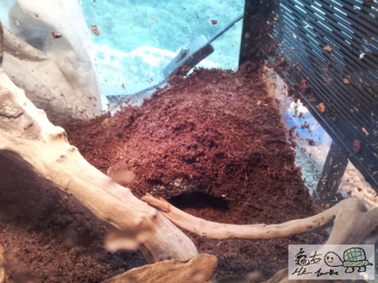 2011-12-06 16.31.45.jpg