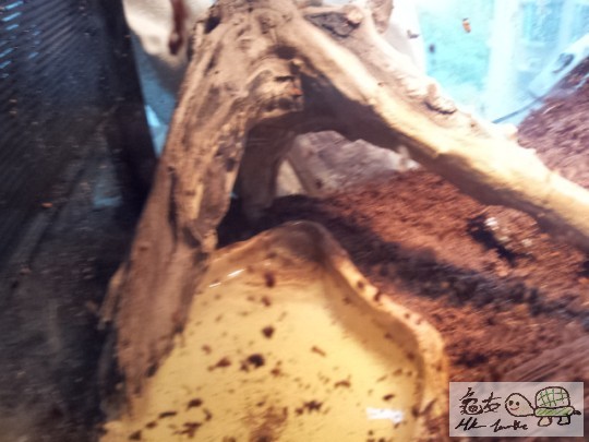 2011-12-06 16.31.51.jpg