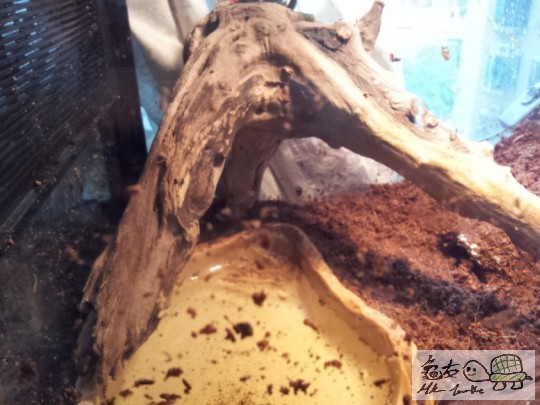 2011-12-06 16.31.58.jpg