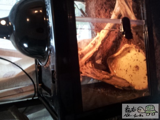 2011-12-06 16.32.07.jpg