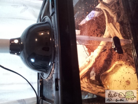 2011-12-06 16.32.17.jpg