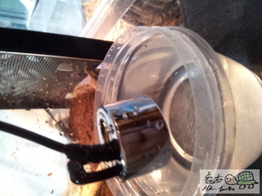 2011-12-06 16.32.36.jpg