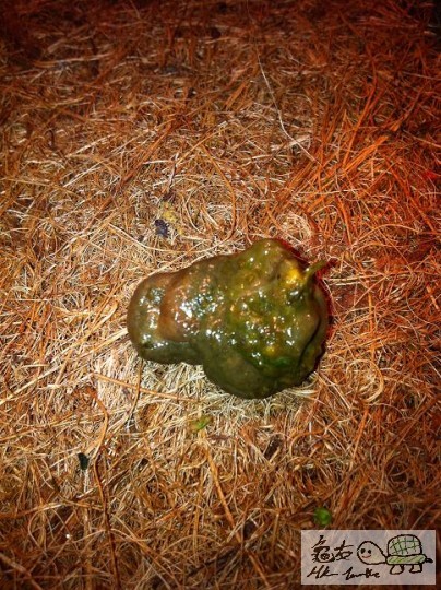 就係咁.吾知有咩問題呢????