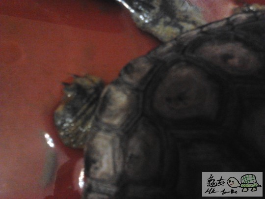 2011-12-08 06.03.59.jpg