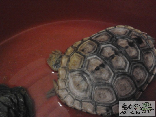 2011-12-08 06.03.47.jpg