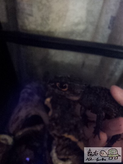 2011-12-08 21.49.36.jpg