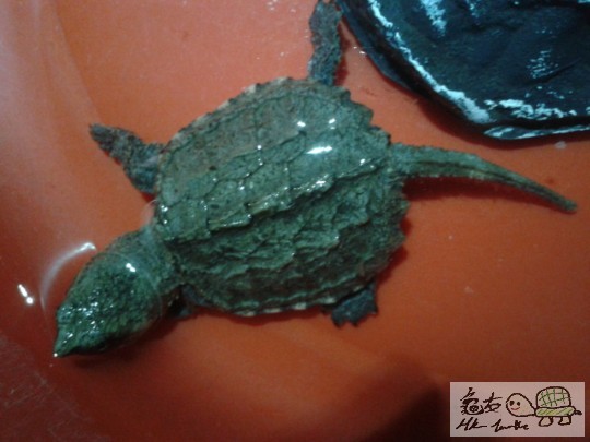 2011-12-20 19.01.38.jpg