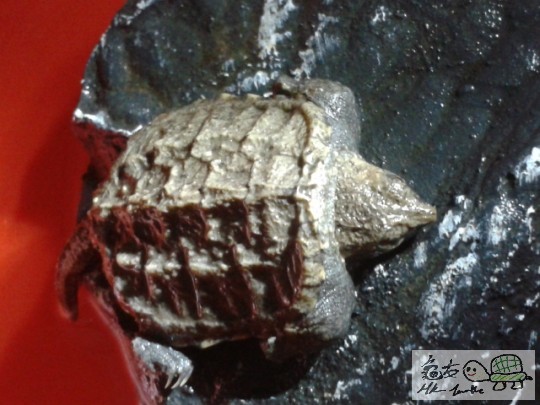 2011-12-20 19.03.51.jpg