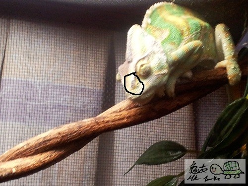 2011-12-20 21.03.27.jpg