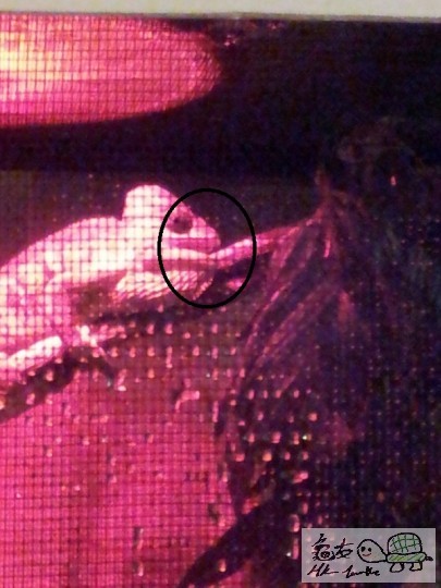 2011-12-27 00.16.31.jpg