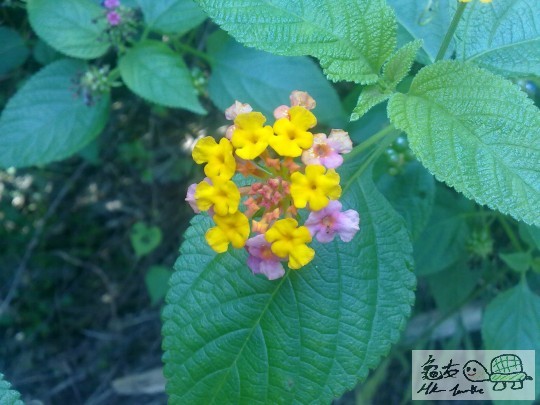 20111020923.jpg