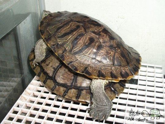 DSCF1249 (1280x960).jpg