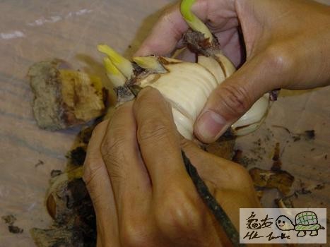 4) 每邊切兩刀.jpg