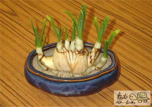 11) 十三日後.jpg