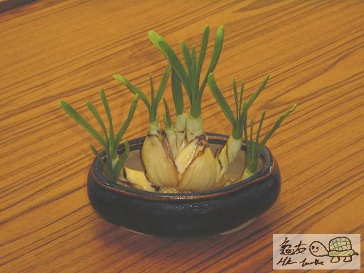 12) 十五日後.jpg