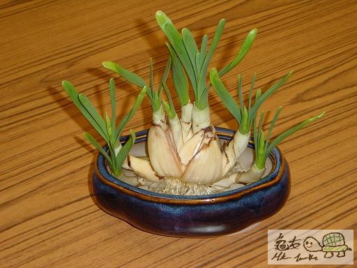 13) 十七日後.jpg