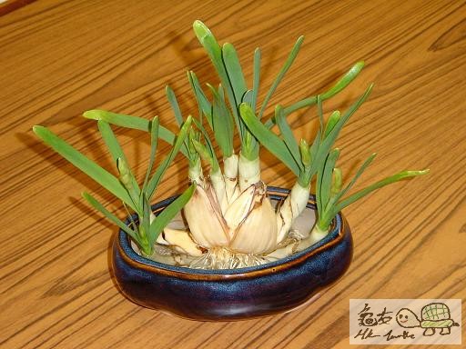 14) 二十日後.jpg