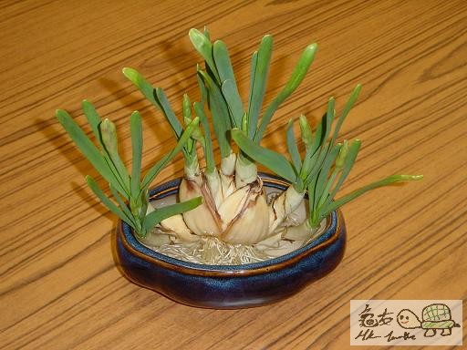 15) 二十二日後.jpg