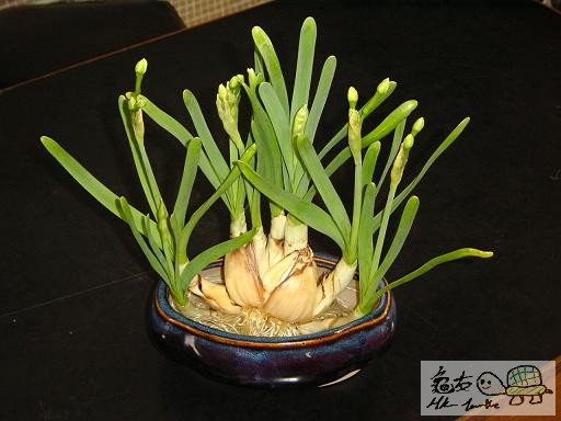 16) 二十四日後.jpg