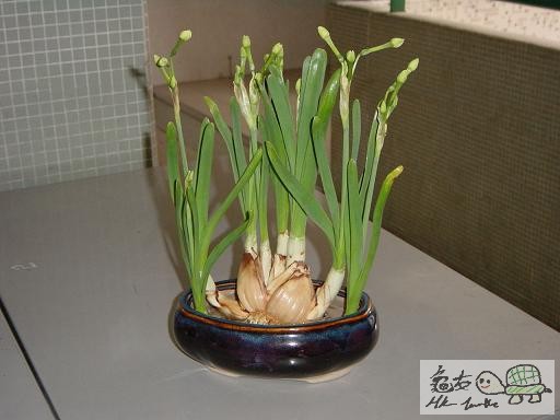 17) 二十五日後.jpg