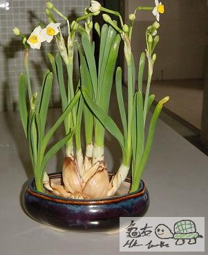 18) 二十六日後.jpg