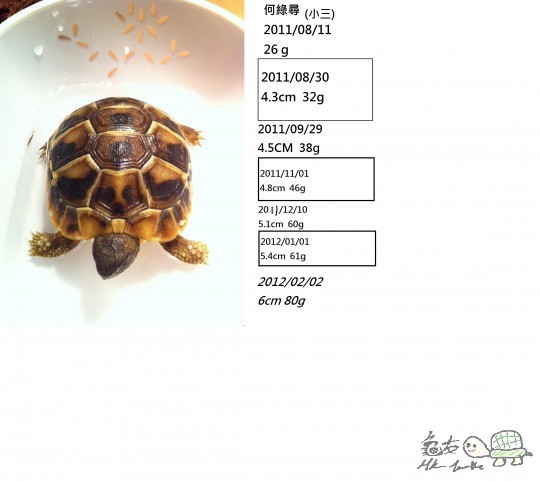 Photo 11-8-11 20 00 58.jpeg