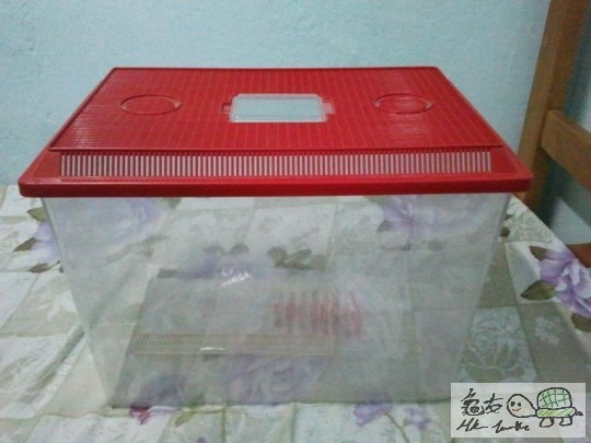 2012-02-12 18.42.49.jpg