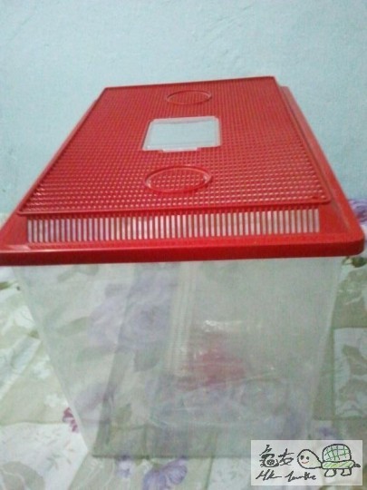 2012-02-12 18.43.12.jpg