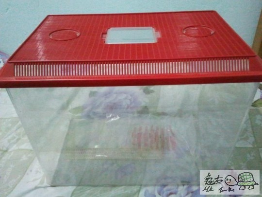 2012-02-12 18.43.27.jpg