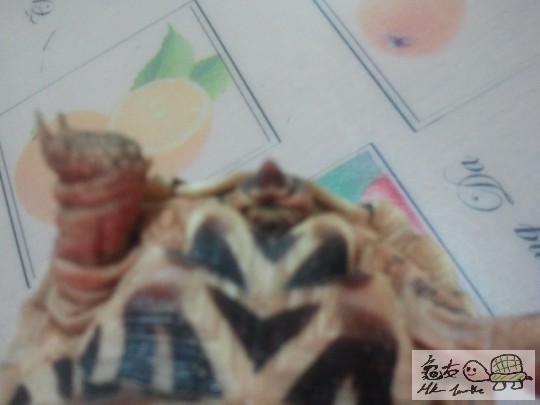 2012-02-12 00.15.25.jpg