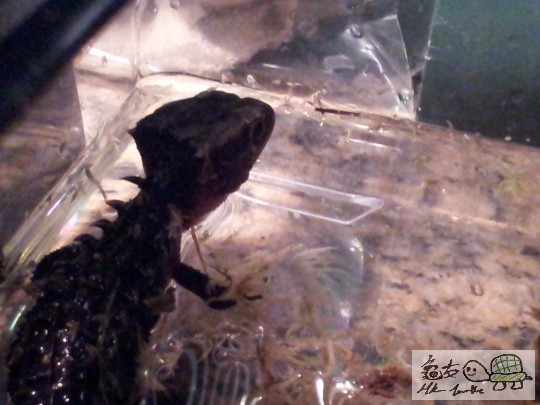 2012-02-17 18.49.18.jpg