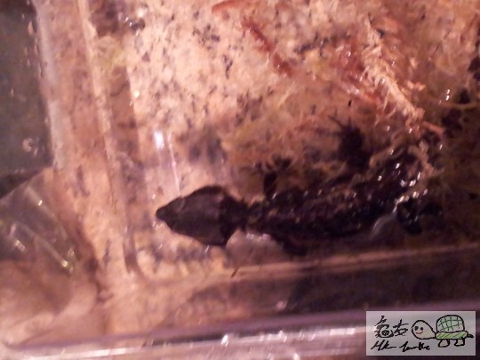 2012-02-17 18.50.12.jpg