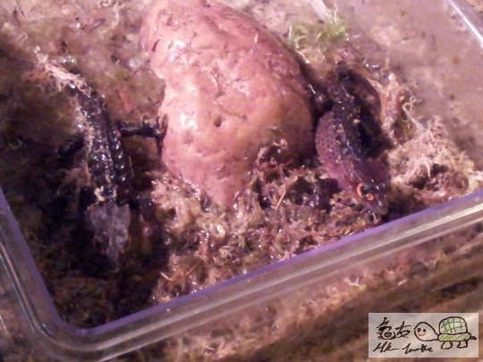 2012-02-17 18.50.41.jpg