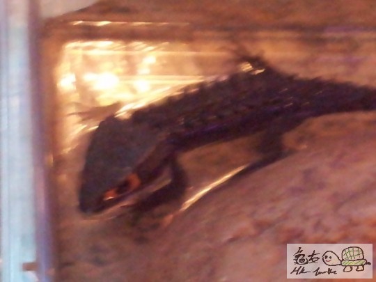 2012-02-19 18.17.12.jpg