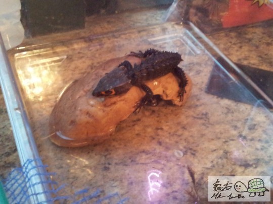 2012-02-19 18.17.37.jpg