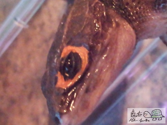 2012-02-19 18.18.04.jpg