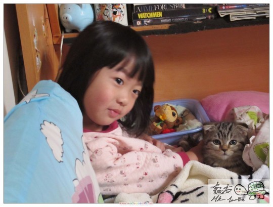 一齊坐一齊睇電視