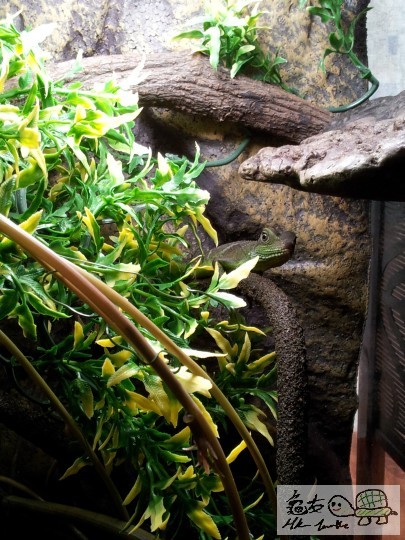 2012-03-04 08.53.47.jpg