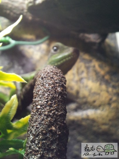 2012-03-04 08.54.11.jpg