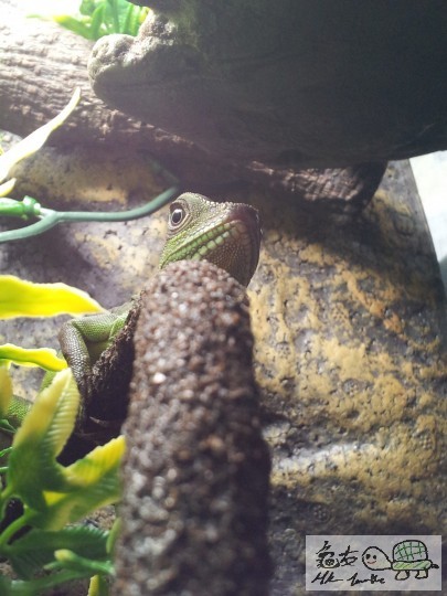 2012-03-04 08.54.23.jpg