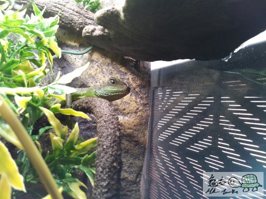 2012-03-04 08.53.25.jpg