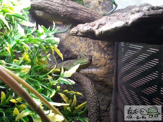 2012-03-04 08.53.38.jpg