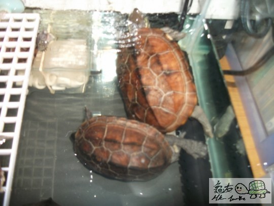 DSCF1400 (1280x960).jpg